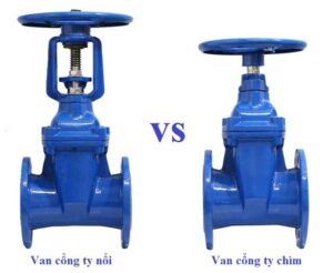 van cong ty noi va ty chim 1