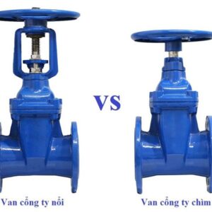 van cong ty noi va ty chim 1