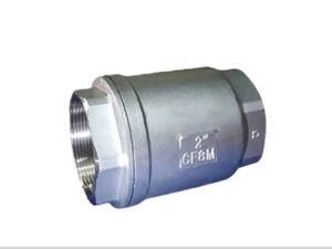 Báo Giá Van Một Chiều Lò Xo Chính Hãng 2026 | Giá Tốt, Sẳn Kho 4 Van một chiều lò xo inox chính hãng dùng cho hệ thống đường ống