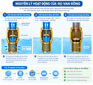 Báo Giá Rọ Van Đồng Chính Hãng 2026 | Hàng Sẳn Kho 2 Nguyên lý hoạt động của rọ van đồng khi máy bơm khởi động, vận hành và dừng